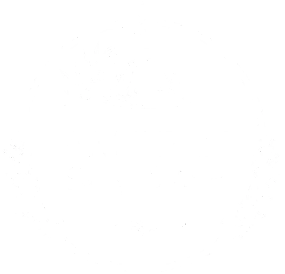 Amorin Catering Solutions